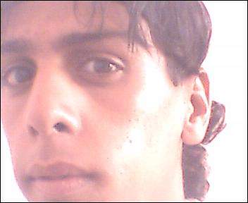 brucelee mrroc.  bani mallal
